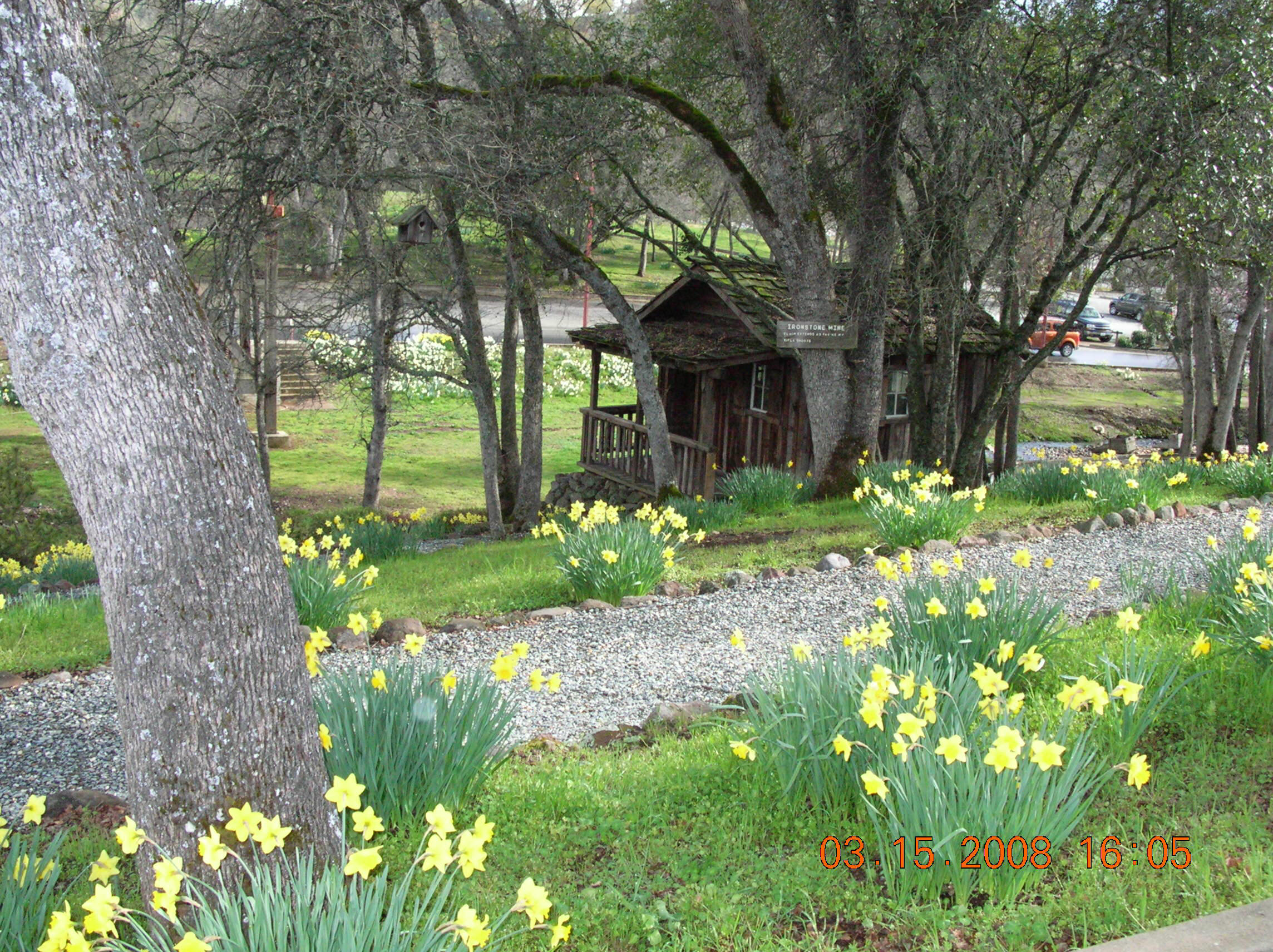 flowers at Ironstone 05 14 2007